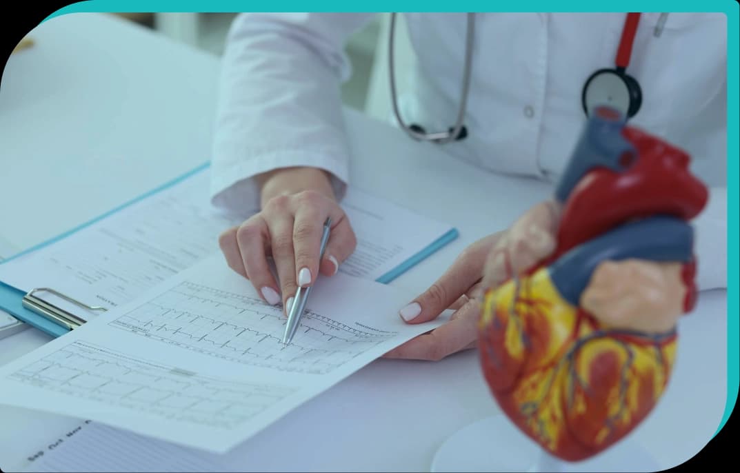 Cardiologist reviewing an ECG report beside an anatomical heart model