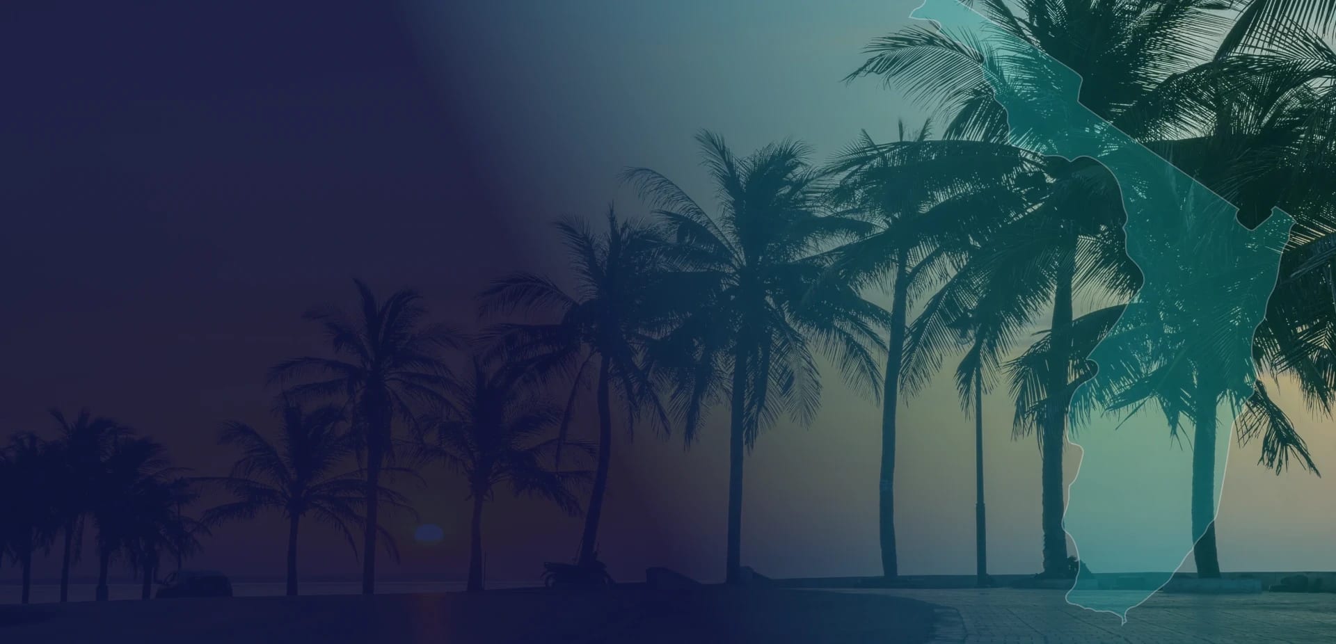 Florida palm trees at dusk framed by a teal outline of Florida